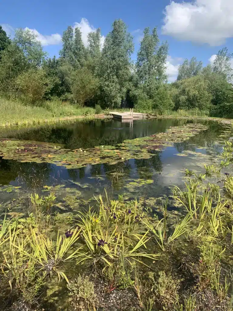 Semley Natural Pool